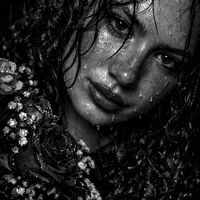 demoiselle_curly