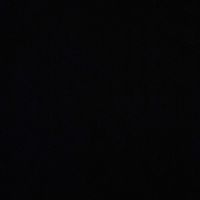 __daisyschettini