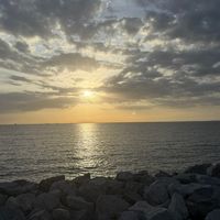lanica_341