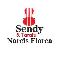 sendytarafulnarcisflorea