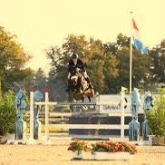 vdm.springpaarden