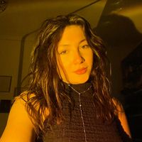 erina_lmvd