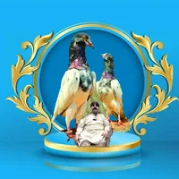 original sound - mianzohaiblahorey