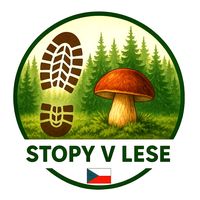 stopy.v.lese