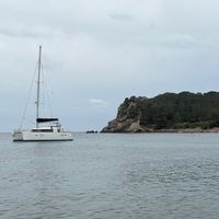 vicbogue