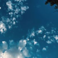 ingedankenversunken2025