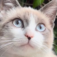 elisabeth.5335