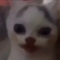 sad hamster meme sound
