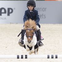 bizztheshetland
