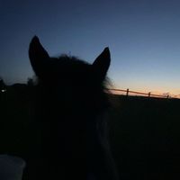emy_eq4