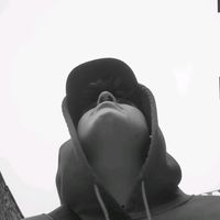 gaysaursrexcj