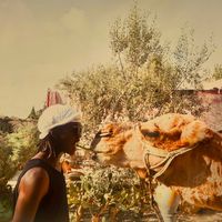 lamari.sackey