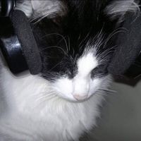 original sound