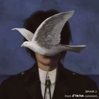 original sound - Meiqst