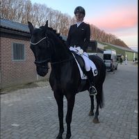equi.maritschenk