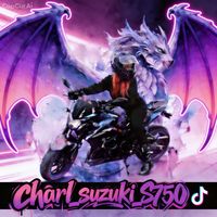 charl_suzuki_s750