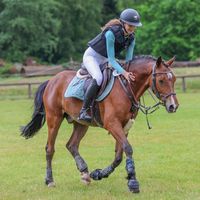 cosimas_ponyteam_