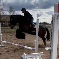 equestrian.jassuolivia