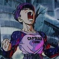 saiyanprince1000