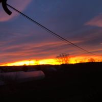 sunet original