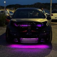 th3__black__gt