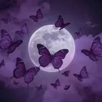 original sound - www.tiktok.comzlatik0