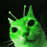 it_is_miko