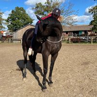 _lauras._.riding_diary_