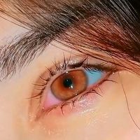 fk__typist7