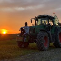 sunet original
