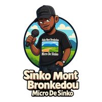 micro.de.sinko.20