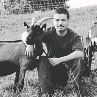 Originalton