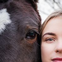 nobel_horses