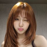 dollfacelalisa