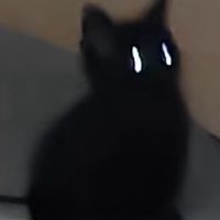 原聲