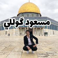 mesoudguli