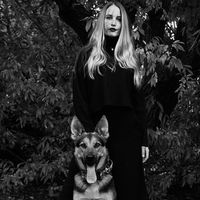 goldentrio_specialdogs