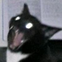 ce_de_