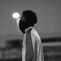 rafa.bisso
