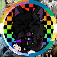 kittymeow516