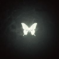 moonlightimagines