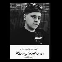 harrythehammer5