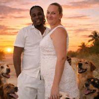 caribbean_streetpaws