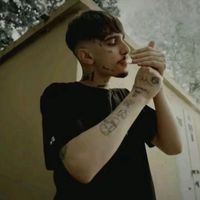 wsmede_0