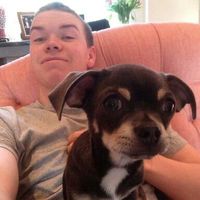 poultercontent