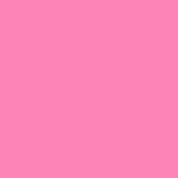 insp010
