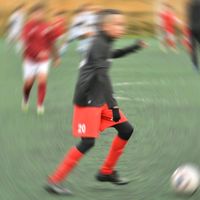 forzaroma056