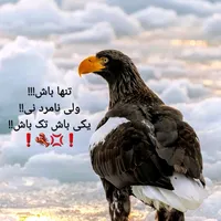 original sound - wasim.akbari7
