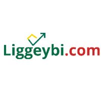 liggeybi.com