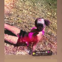 lxly_bb115